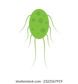 Flat Virus, germ and bacteria, microorganism type and super bug illustration.