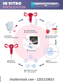 Flat In Vitro Fertilization IVF  Infographics