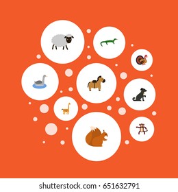 Flat Waterbird, Mutton, Predator And Other Vector Elements. Set Of Zoology Flat Symbols Also Includes Sheep, Gorilla, Pooch Objects.