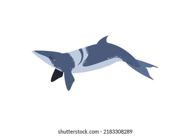 flat whale design over white