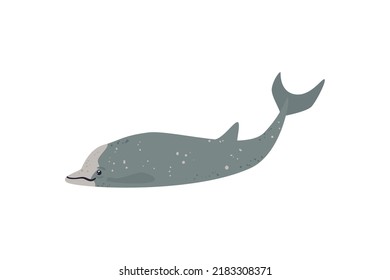 flat whale illustration over white
