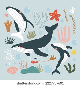 flat whale and sea world vector illustration 