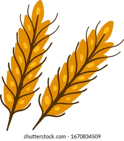 Flat wheat, illustration, vector on white background.