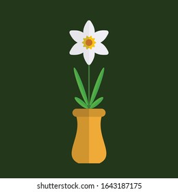 Flat white daffodil flower vector in the pot, art vector, flower icon logo design
