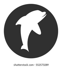 Flat and white dolphin icon isolated on gray and white background - Eps10 vector graphics and illustration