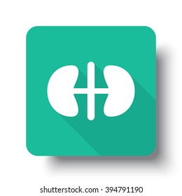 Flat white Kidneys web icon on green button with drop shadow