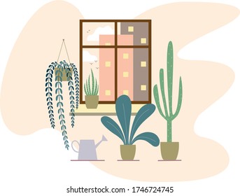 flat window with succulent plants