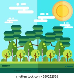 Flat wood landscape with different trees