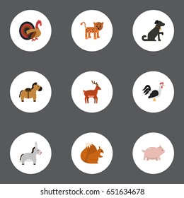 Flat Zebra, Horns, Predator And Other Vector Elements. Set Of Zoo Flat Symbols Also Includes Gobbler, Swine, Leopard Objects.