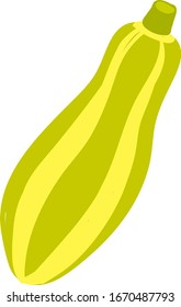 Zucchini plano, ilustración, vector sobre fondo blanco.