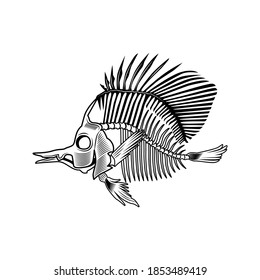 Flatfish bones vector illustration. Fish skeleton, chord, fins, head and tale. Dead animal or food concept for emblems and labels templates