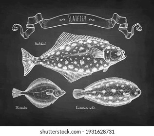 Plattfisch. Halibut, Seezunge und Flunder. Skizze auf schwarzem Hintergrund. Handgezeichnete Vektorgrafik. Retro-Stil.