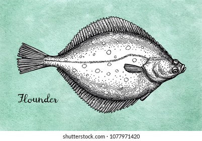 Flatfish. Ink sketch of flounder. Hand drawn vector illustration on old paper background. Retro style.