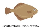 Flatfish Sea Fish. Vector illustration