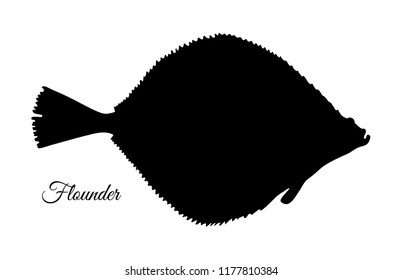 Flatfish. Silhouette of flounder. Hand drawn vector illustration isolated on white background.