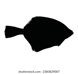 Plattfisch. Silhouette des Flunder. Handgezeichnete Vektorgrafik einzeln auf weißem Hintergrund.