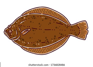 Flatfish(halibut, plaice). Colored vector illustration.