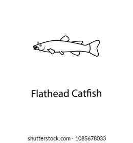 flathead catfish icon. Element of marine life for mobile concept and web apps. Thin line flathead catfish icon can be used for web and mobile. Premium icon on white background