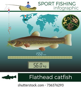 Flathead catfish infographic, sport fishing, vector illustration.