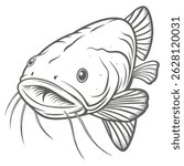 Flathead Catfish Line Art Illustration