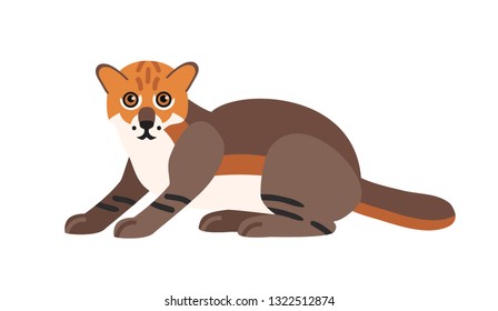 Flat-headed cat isolated on white background. Cute wild exotic carnivorous animal. Adorable wild Asian cat or felid. Endangered species of Asia. Colorful vector illustration in flat cartoon style.