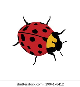 flaticon animal beetle vector illustration