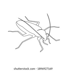 flaticon animal cockroach outline vector illustration