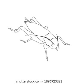 flaticon animal crickets outline vector illustration
