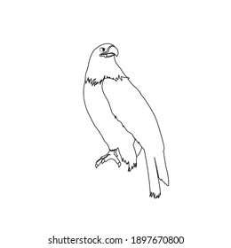 flaticon animal eagle outline vector illustration