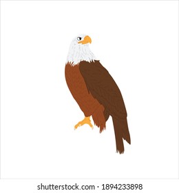 flaticon animal eagle vector illustration