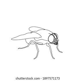 flaticon animal flies outline vector illustration
