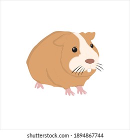 flaticon animal guinea pig vector illustration