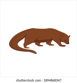 flaticon animal mongoose vector illustration