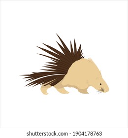 flaticon animal porcupine cat vector illustration