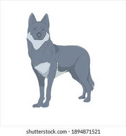 flaticon animal wolf vector illustration
