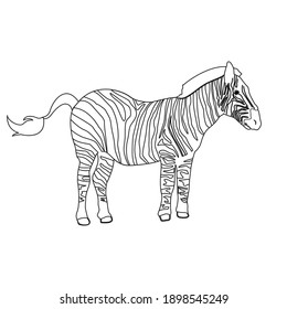flaticon animal Zebra outline vector illustration 