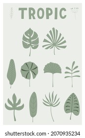 Flatlay poster of set with delicate green leaves of tropical palm trees. Vector hand drawn illustration. Creative for kids texture, baby clothes, fabric, wrapping, textile, apparel, interior.
