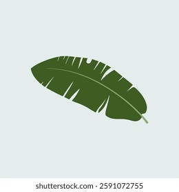 A Flat-Style Banana leaf on a Plain White Background