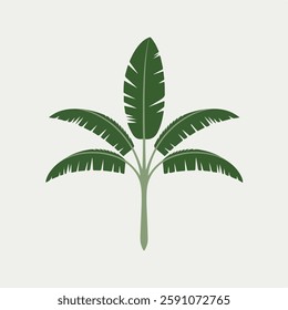 A Flat-Style Banana leaf on a Plain White Background