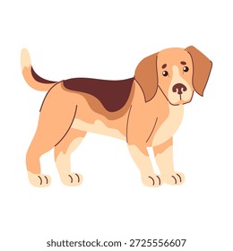 Flacher Beagle, vektorfreundlicher Dreifarbenmantel, schräge Ohren, gefühlvolle Augen, kompakter Körper, schwingender Schwanz, einfache Formen, kühne Umrisse und minimale Schattierung für einen sauberen, modernen Look