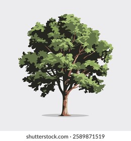 A Flat-Style Big tree on a Plain White Background
