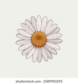 A Flat-Style daisy flower on a Plain White Background