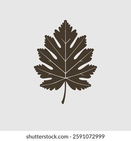 A Flat-Style Dry brown leaf on a Plain White Background