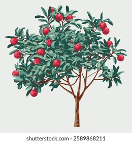 A Flat-Style Fruit-bearing tree on a Plain White Background