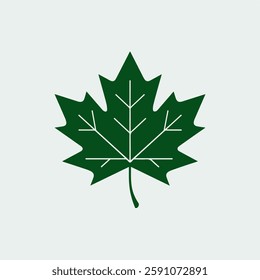 A Flat-Style Green maple leaf on a Plain White Background