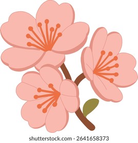 A flat-style illustration of cherry blossom flowers in soft pink tones