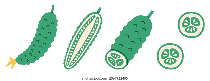 Flat-style illustration of cucumbers in various cuts and angles, including whole, sliced, and halved. Perfect for food-related designs, packaging, and educational visuals.