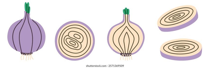 Flat-style illustration of purple onions in various perspectives, including whole, sliced, and cross-sectioned views. Perfect for culinary designs, recipes, or vegetable-themed projects.