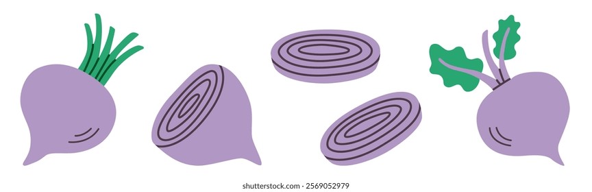 Flat-style illustration set of beets and beet slices in various cuts and angles. Purple roots with green leaves, perfect for food, farming, and healthy diet designs.