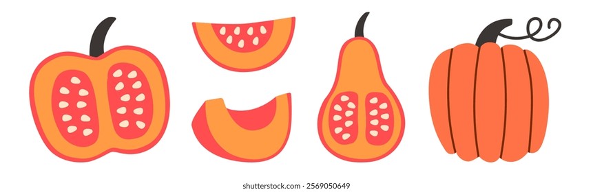 Flat-style illustration set of pumpkins and their slices in different shapes and angles. Vibrant orange tones, perfect for fall, autumn, Thanksgiving, and Halloween designs.